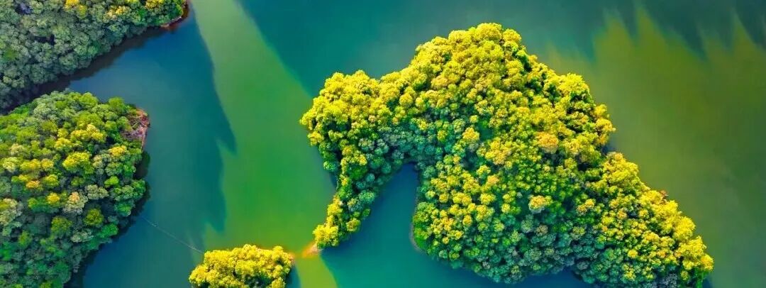 鸟瞰自然岛屿，绿松石色水域