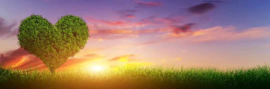 日落天空中的心形树